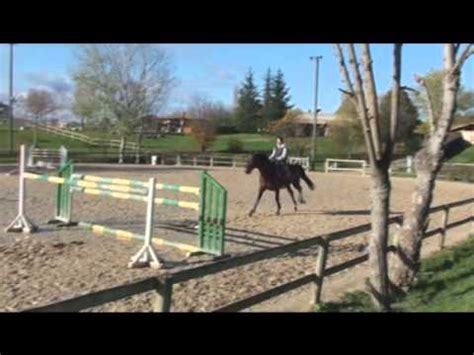 hermes de reve stallion|Hermes De Reve (FRA09153) .